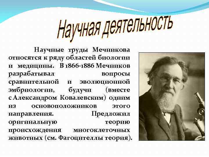  Научные труды Мечникова относятся к ряду областей биологии и медицины. В 1866 1886