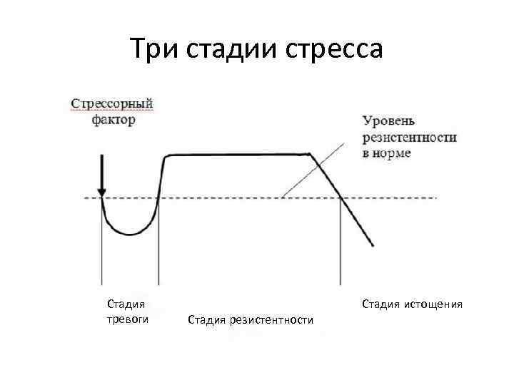 Три стадии стресса Стадия тревоги Стадия истощения Стадия резистентности 