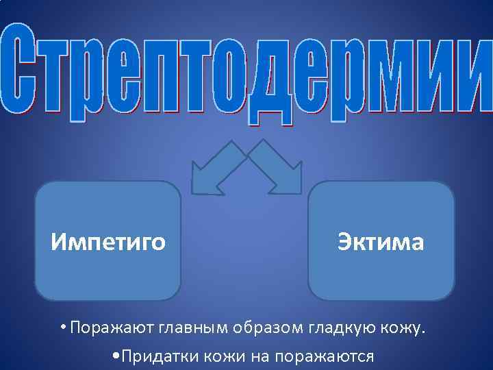 Импетиго Эктима • Поражают главным образом гладкую кожу. • Придатки кожи на поражаются 