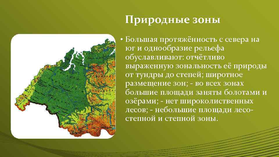 Перечислите природные зоны западно сибирской равнины