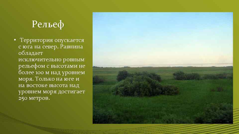 Крупнейшие формы рельефа западно сибирской равнины. Рельеф России Западно Сибирская равнина.