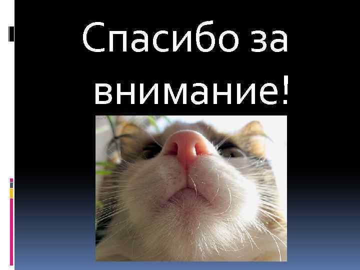 Спасибо за внимание! 