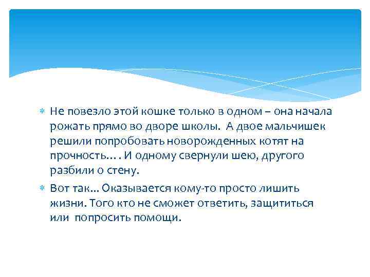  Не повезло этой кошке только в одном – она начала рожать прямо во