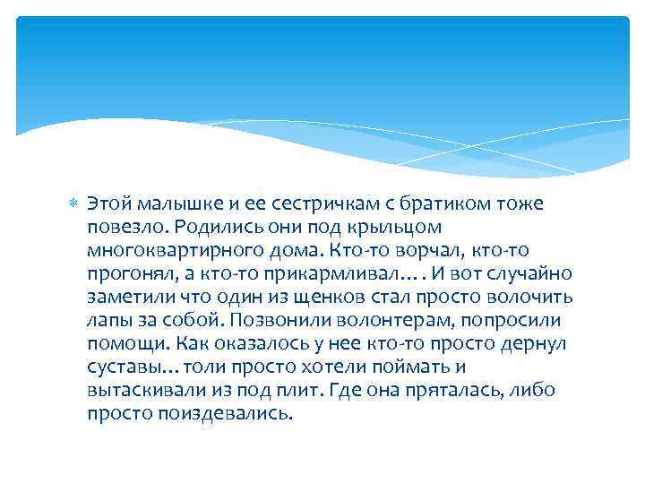  Этой малышке и ее сестричкам с братиком тоже повезло. Родились они под крыльцом