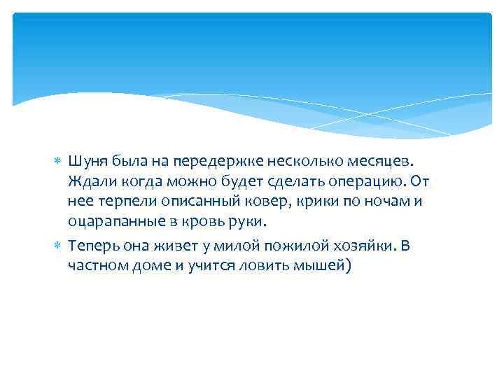  Шуня была на передержке несколько месяцев. Ждали когда можно будет сделать операцию. От