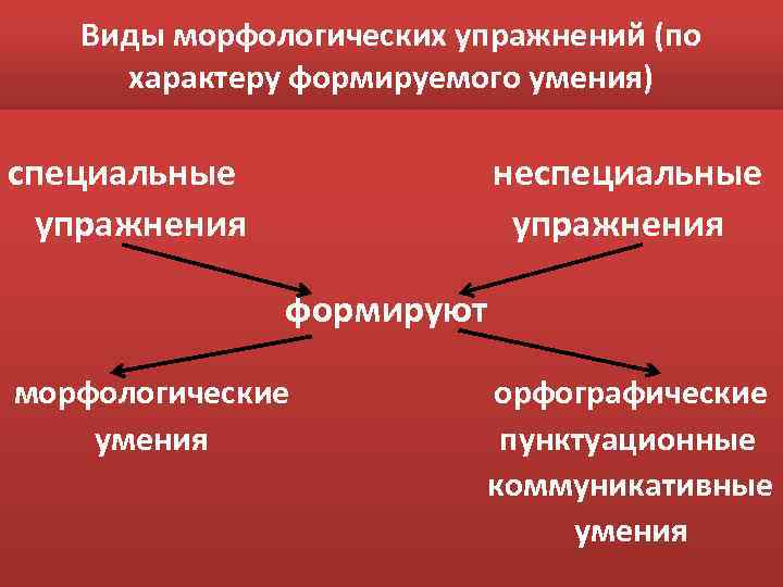 Виды морфологических упражнений (по характеру формируемого умения) специальные упражнения неспециальные упражнения формируют морфологические умения