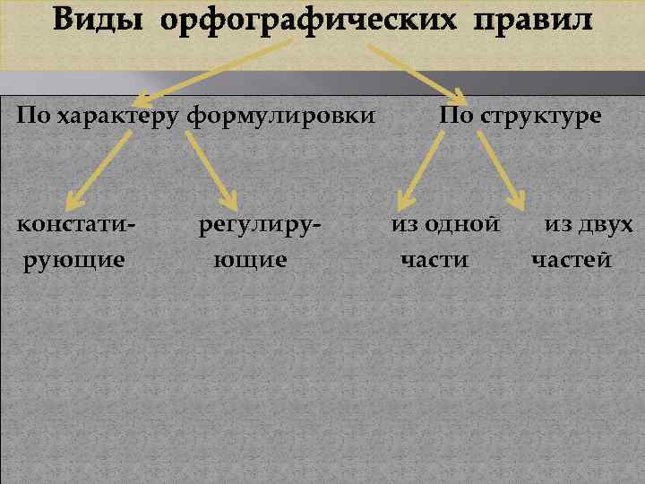 Основные виды правила