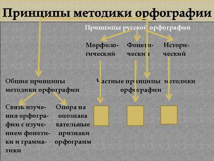 Составьте схему принципы русской орфографии приведите соответствующие примеры