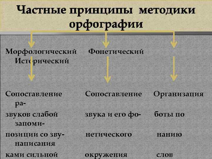 Частные принципы методики орфографии Морфологический Исторический Сопоставление развуков слабой запомипозиции со звунаписания ками сильной