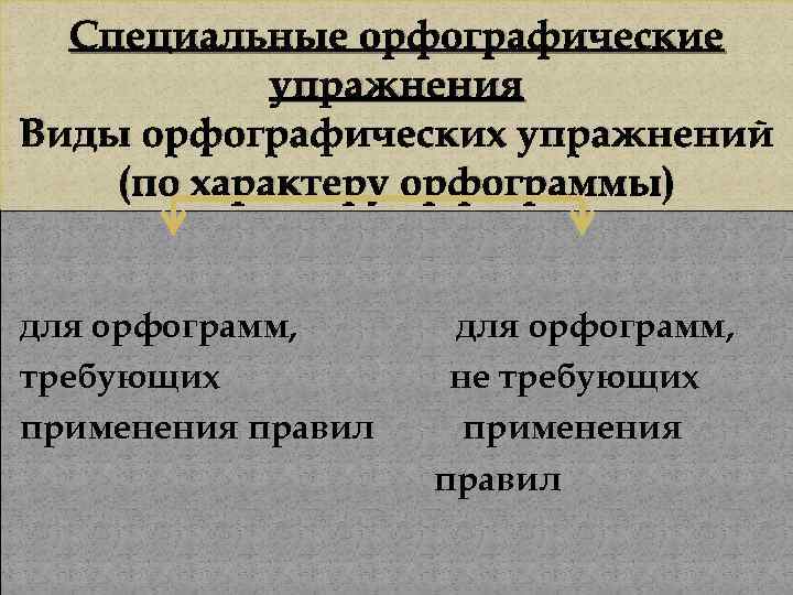 Специальные орфографические упражнения Виды орфографических упражнений (по характеру орфограммы) для орфограмм, требующих применения правил