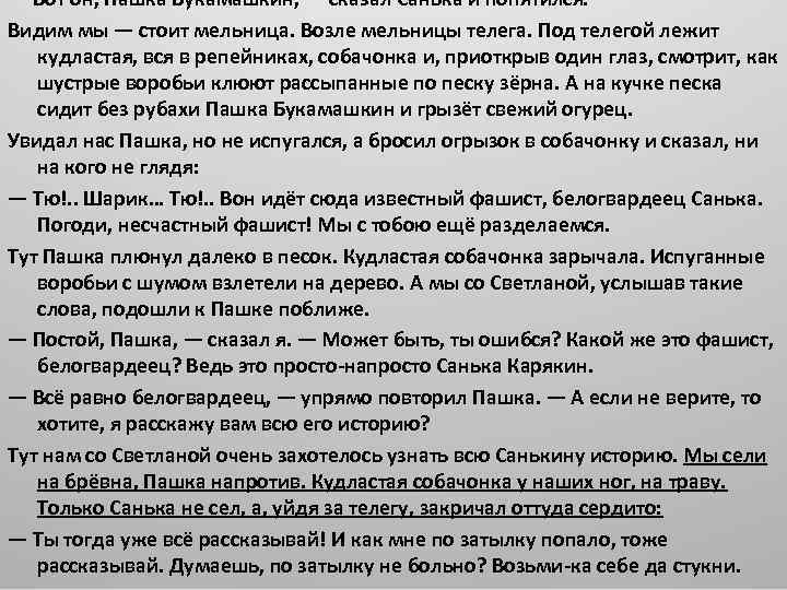 — Вот он, Пашка Букамашкин, — сказал Санька и попятился. Видим мы — стоит