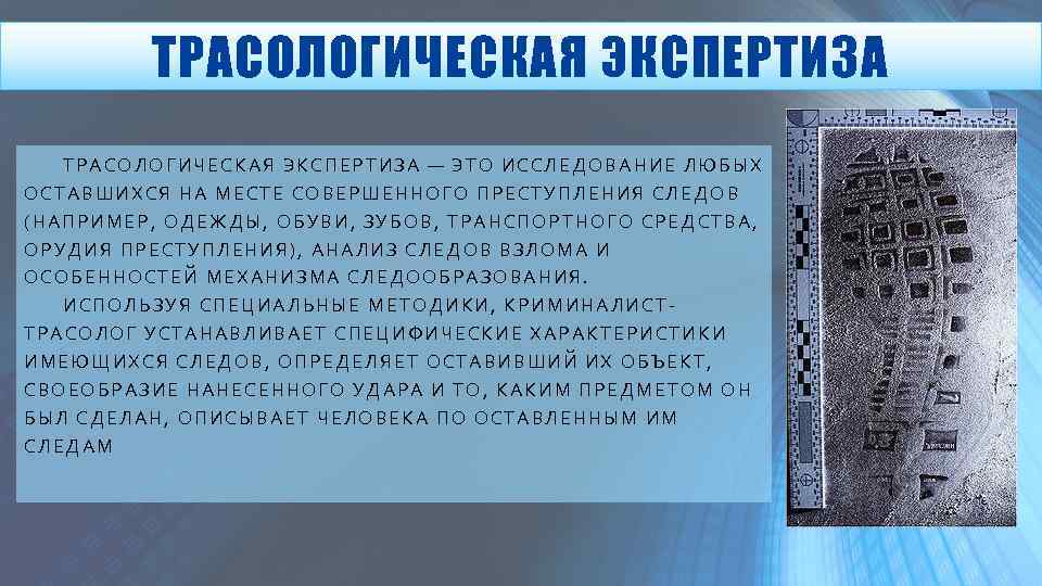 ТРАСОЛОГИЧЕСКАЯ ЭКСПЕРТИЗА — ЭТО ИССЛЕДОВАНИЕ ЛЮБЫХ ОСТАВШИХСЯ НА МЕСТЕ СОВЕРШЕННОГО ПРЕСТУПЛЕНИЯ СЛЕДОВ (НАПРИМЕР, ОДЕЖДЫ,