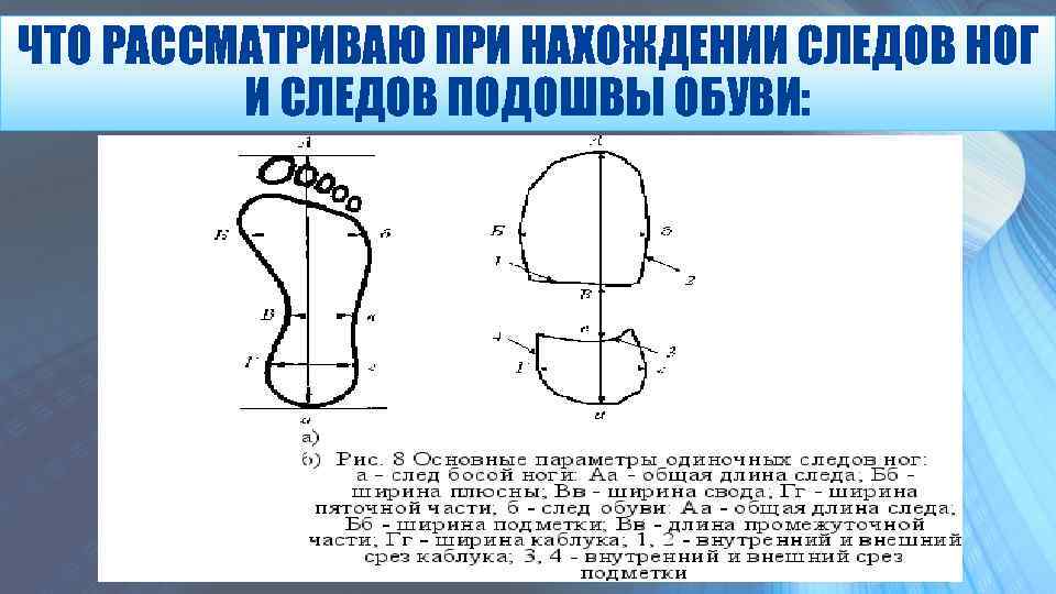 ЧТО РАССМАТРИВАЮ ПРИ НАХОЖДЕНИИ СЛЕДОВ НОГ И СЛЕДОВ ПОДОШВЫ ОБУВИ: 