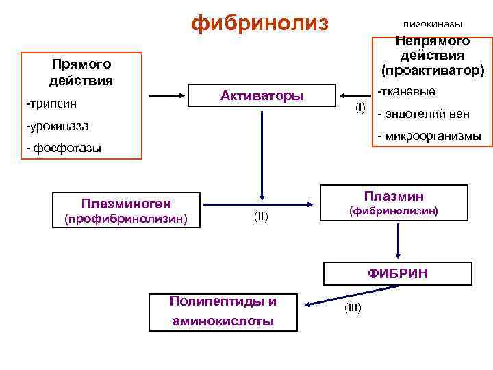 Схема фибринолиза физиология