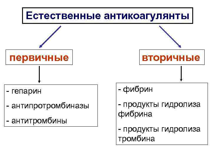 Естественные антикоагулянты первичные вторичные - гепарин - фибрин - антипротромбиназы - продукты гидролиза фибрина