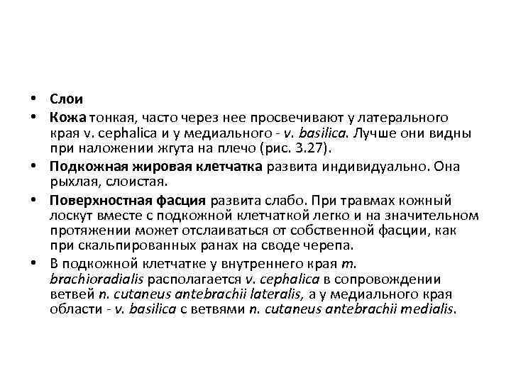  • Слои • Кожа тонкая, часто через нее просвечивают у латерального края v.