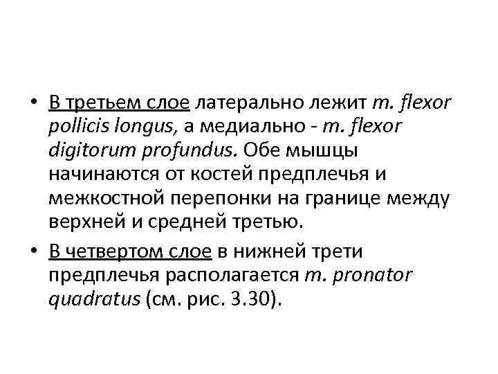  • В третьем слое латерально лежит m. flexor pollicis longus, а медиально m.