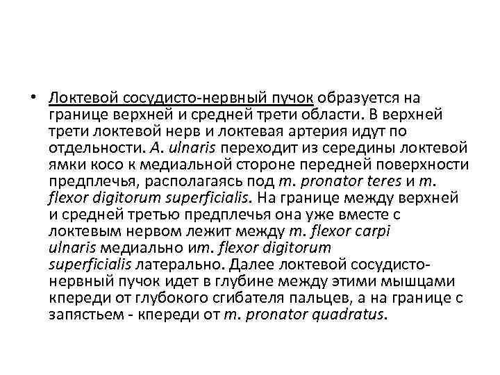  • Локтевой сосудисто нервный пучок образуется на границе верхней и средней трети области.