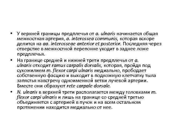  • У верхней границы предплечья от a. ulnaris начинается общая межкостная артерия, a.