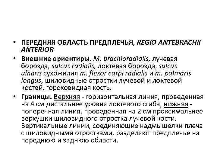  • ПЕРЕДНЯЯ ОБЛАСТЬ ПРЕДПЛЕЧЬЯ, REGIO ANTEBRACHII ANTERIOR • Внешние ориентиры. M. brachioradialis, лучевая