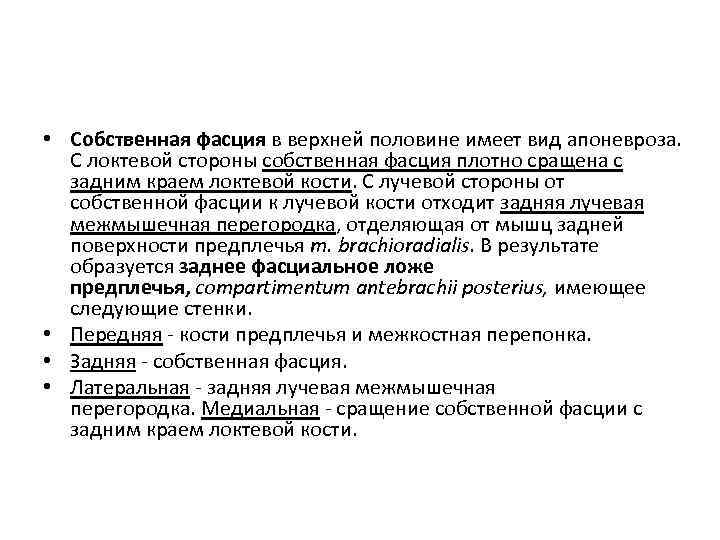  • Собственная фасция в верхней половине имеет вид апоневроза. С локтевой стороны собственная