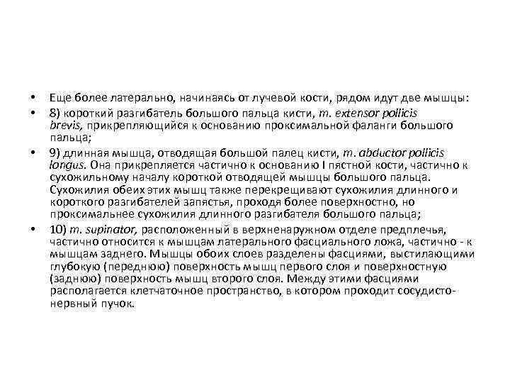  • • Еще более латерально, начинаясь от лучевой кости, рядом идут две мышцы: