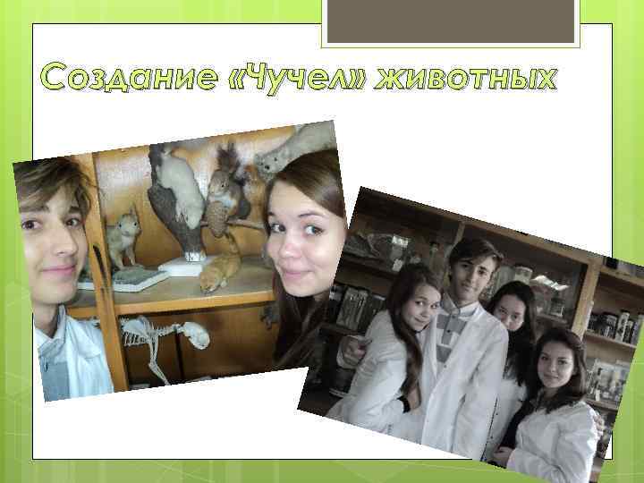Создание «Чучел» животных 