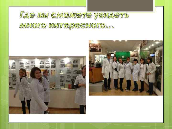 Где вы сможете увидеть много интересного… 