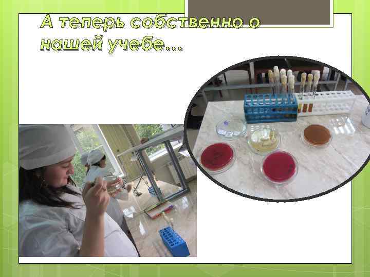 А теперь собственно о нашей учебе… 