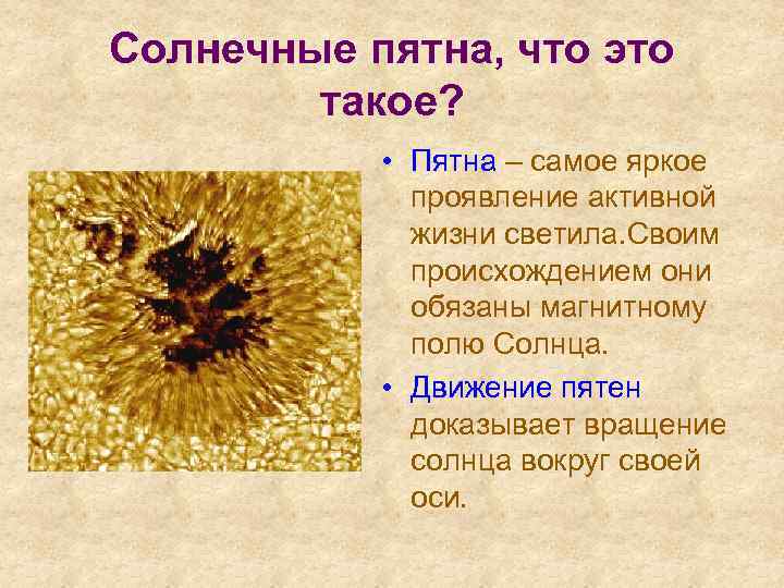 Солнечные пятна, что это такое? • Пятна – самое яркое проявление активной жизни светила.