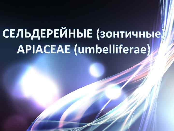 СЕЛЬДЕРЕЙНЫЕ (зонтичные) APIACEAE (umbelliferae) 