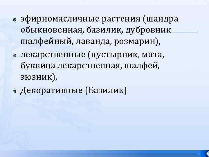  эфирномасличные растения (шандра обыкновенная, базилик, дубровник шалфейный, лаванда, розмарин), лекарственные (пустырник, мята, буквица