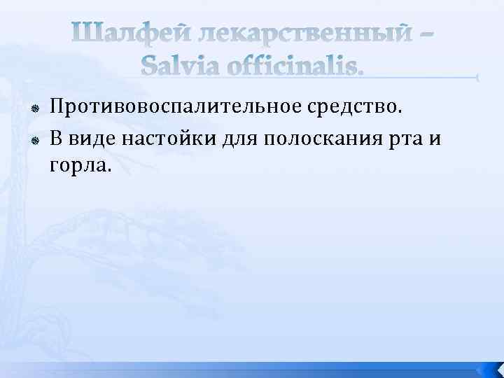 Шалфей лекарственный – Salvia officinalis. Противовоспалительное средство. В виде настойки для полоскания рта и