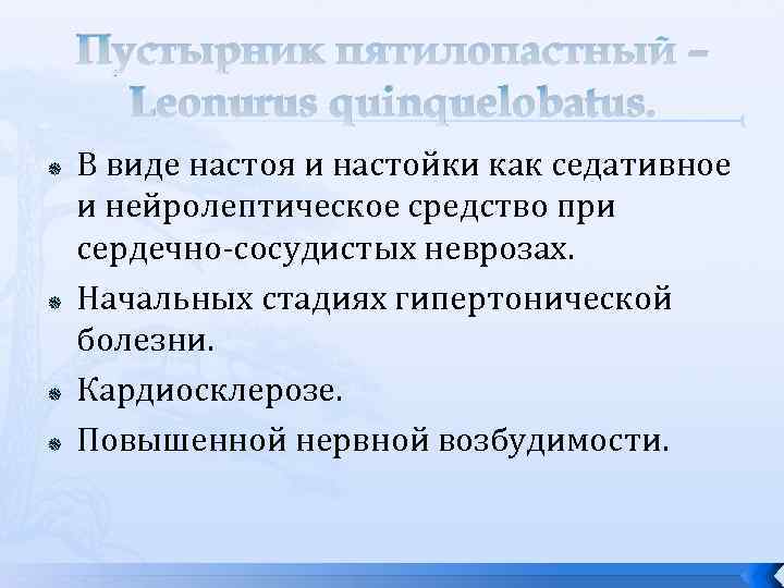 Пустырник пятилопастный – Leonurus quinquelobatus. В виде настоя и настойки как седативное и нейролептическое