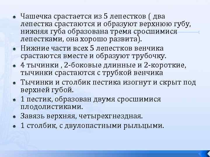  Чашечка срастается из 5 лепестков ( два лепестка срастаются и образуют верхнюю губу,