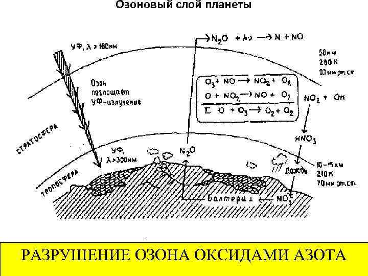 Озоновый слой планеты РАЗРУШЕНИЕ ОЗОНА ОКСИДАМИ АЗОТА 
