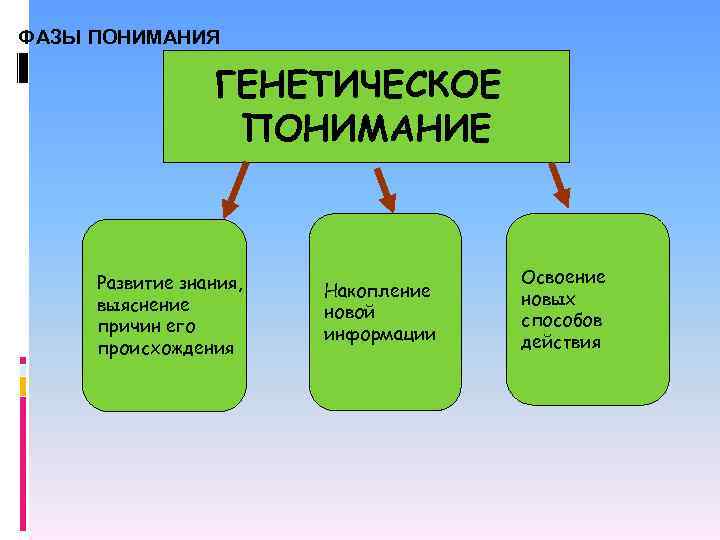 ФАЗЫ ПОНИМАНИЯ ГЕНЕТИЧЕСКОЕ ПОНИМАНИЕ Развитие знания, выяснение причин его происхождения Накопление новой информации Освоение