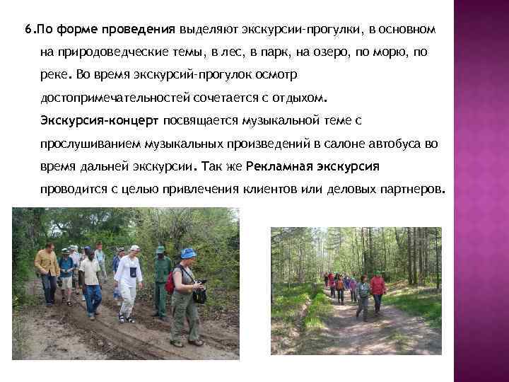 6. По форме проведения выделяют экскурсии–прогулки, в основном на природоведческие темы, в лес, в