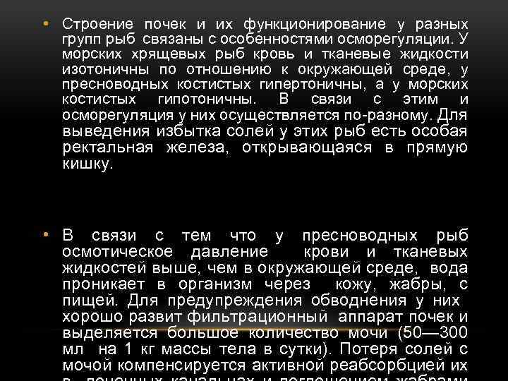  • Строение почек и их функционирование у разных групп рыб связаны с особенностями