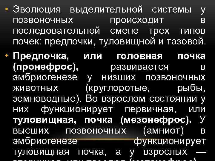 Определите общее количество мезонефросов у модельных животных. Стадии развития почки. Этапы эволюции почки у позвоночных. Основные этапы развития почек. Перечислите стадии развития почки..