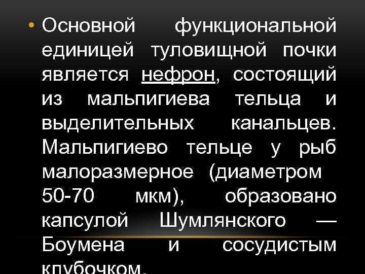  • Основной функциональной единицей туловищной почки является нефрон, состоящий из мальпигиева тельца и