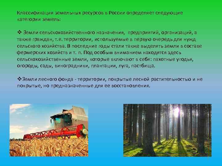 Категории сельскохозяйственного производства