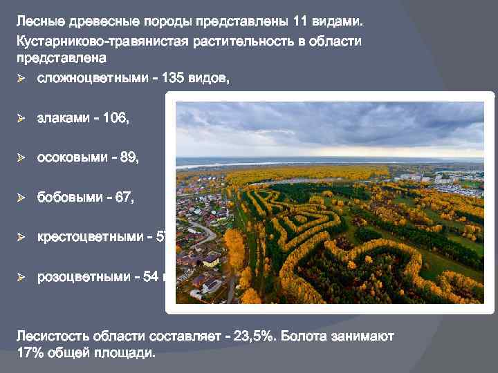 Лесные древесные породы представлены 11 видами. Кустарниково-травянистая растительность в области представлена Ø сложноцветными -