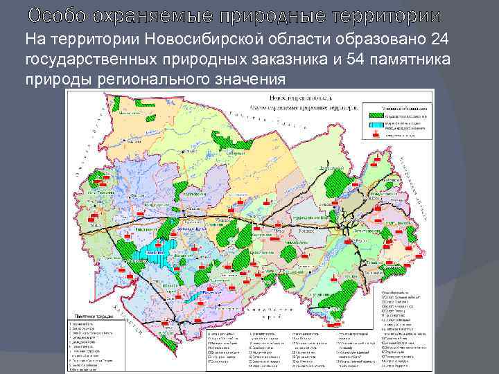Особо охраняемые природные территории На территории Новосибирской области образовано 24 государственных природных заказника и