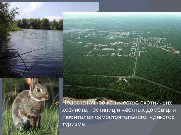  Недостаточное количество охотничьих хозяйств, гостиниц и частных домов для любителей самостоятельного, «дикого» туризма.