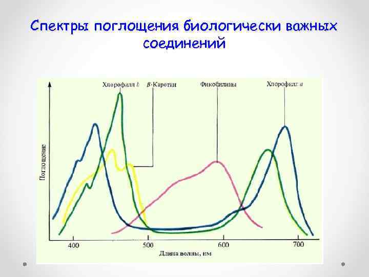 Спектральное поглощение. График спектра поглощения. Спектр поглощения Глюкозы в крови. Спектры поглощения газов в ИК области спектра. Максимум спектра поглощения.