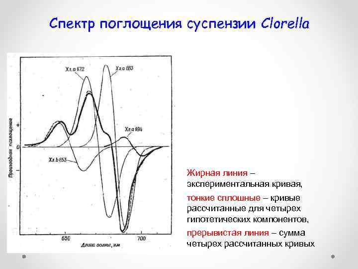 Спектр поглощения суспензии Clorella Жирная линия – экспериментальная кривая, тонкие сплошные – кривые рассчитанные