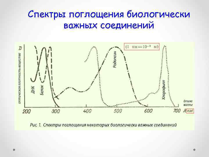 Спектры поглощения биологически важных соединений 