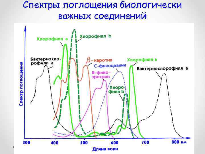 Спектры поглощения биологически важных соединений 