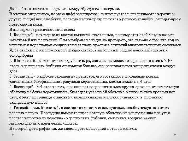 Данный тип эпителия покрывает кожу, образуя ее эпидермис. В клетках эпидермиса, по мере дифференцировки,